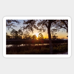 Sunsetting over Escambia Bay Sticker